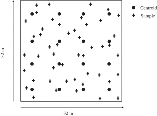 Figure 2. Representative sampling scheme. Three samples were collected at random directions and distances up to 4 m from each of the 16 centroids for a total of 48 soil cores per site. Lag values ranged from 3.58 to 40.56 m with the number of neighbors within a lag distance ranging from 2 to 30.