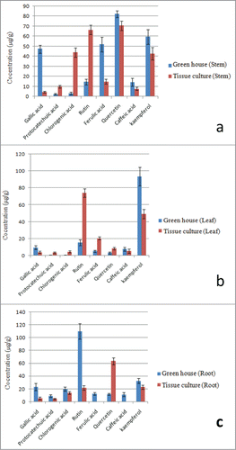 Figure 4. Comparative analysis of polyphenolic compounds present in stem, leaf and roots of green house grown (labeled as green) and tissue culture raised (labeled as red) P. tetragonolobus plants; (A) Graph showing contents of poyphenolic compounds in Stems of both type of plants; (B) Graph showing contents of poyphenolic compounds in Leaves of both type of plants; (C) Graph showing contents of poyphenolic compounds in Roots of both type of plants. Graphs were plotted with concentrations of polyphenolic compounds (mg/g) on x-axis and various types of polyphenolic compounds on y-axis.