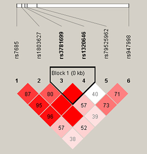 Figure 1 Linkage disequilibrium (LD) of six SNPs in the GARP gene. LD of six SNPs was determined using the solid spine of LD option of Haploview 4.2. D’ values are displayed in the squares. Empty red squares have a pairwise D’ of 1.0. Red squares indicate strong pairwise LD, gradually coloring down to white squares of weak pairwise LD.