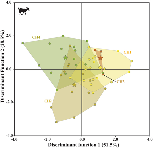Figure 4. Quadratic discriminant analysis of ISO parameters of domestic modern goats. The star represents the mean for each group (CH1= goats managed in the Algerian steppe; CH2= in wooded and overgrazed areas in the northeastern Iberian Peninsula; CH3= in grasslands in the Pyrenees; CH4= in wooded areas in the Larzac).