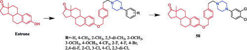 Figure 25. Chemical structures of oestrone and its derivatives.