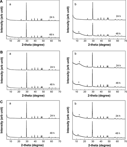 Figure S5 XRD patterns of B-Cal (a), and N-Cal (b), incubated in simulated body fluids: gastric fluid (A), intestinal fluid (B), and plasma (C) after 24 or 48 hours.Note: Asterisks indicate the evolution of dicalcium phosphate dihydrate (JCPDS No 72-0714).Abbreviations: arb, arbitrary; B-Cal, bulk calcium carbonates; JCPDS, Joint Committee on Powder Diffraction Standards; N-Cal, nano calcium carbonates; XRD, X-ray diffraction; h, hours.