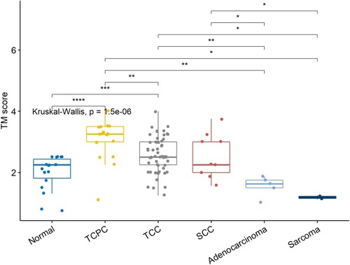 Figure 8 There was a negative relationship between bladder cancer histopathology and TM immunoexpression score. TM immunoexpression scores were stronger in TCPC and TCC with respect to normal tissue, and TCPC, TCC and SCC tissue with respect to adenocarcinoma and sarcoma (*p ≤ 0.05, **p≤0.01,***p≤0.001,****p ≤ 0.0001).