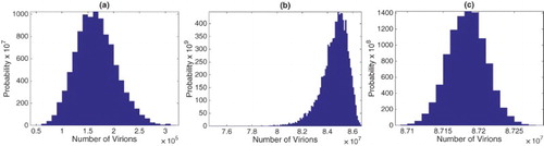 Figure A.1. Approximate pdfs for number of virions at (a) time 20 hours, (b) 40 hours, and (c) peak of the viral load for the SDE model with one stage in the eclipse phase. The approximate pdfs are computed from 104 sample paths. Initial conditions are given in (Equation17(17) H(0)=6.7×106cells,I(0)=6.7cells,(17) ).