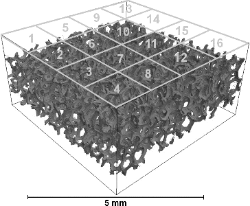FIG. 6. Tomography of the nickel foam shown in Figure 1b divided into 16 smaller models.