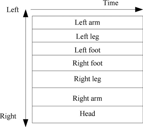 Figure 2. Human body structure.