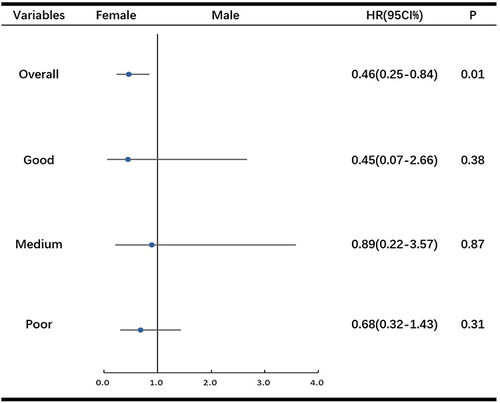 Figure 3 Stratified medication adherence analyses of the association between gender and recurrence-free survival.