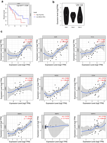 Figure 2. Correlation analysis of lima1 expression with survival outcomes in cholangiocarcinoma.