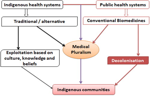 Figure 2. Conceptual framework of the interaction of medical pluralism, indigenous health practices and decolonisation of public health.
