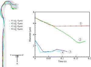 FIG. 8 Trajectories and diameter evolution of selected isotonic saline droplets in the oral airway model with Qin = 30 l/min, Tin = 303 K and RHin = 60%.