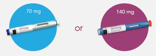 Figure 1 Photograph of the injectors.