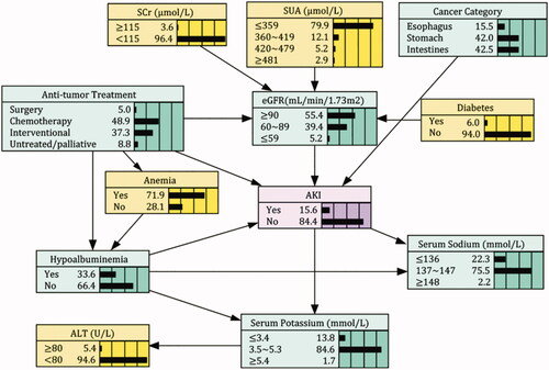 Figure 2. Bayesian Network model of AKI risk factors in patients with gastrointestinal cancers. AKI: Acute kidney injury; ALT: Alanine aminotransferase; SCr: Serum creatinine; eGFR: estimated Glomerular filtration rate; SUA: Serum uric acid.