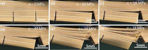 Figure 4. Optical images of notches and crack/microstructure interactions in the crack divider orientation in a double notched specimen: (a) Initial notch; (b) interlaminar cracks with bridging segments; (c) interlaminar and initial deflected cracks; (d) interlaminar and deflected cracks across plies (e) interlaminar and deflected crack profiles with bridging segments, and (f) interlaminar and deflected crack profiles with bridging ligaments