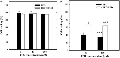 Figure 5. In vitro cytotoxicity of (A) PEG, PEG-COOH and (B) free PPD and PEG-PPD on HT-29 cancer cells. (A) Different concentration of PEG and PEG-COOH did not show any significant cytotoxicity in cancer cells. (B) PEG-PPD exhibited lower toxicity than free PPD, which may be due to slow release of PPD upon hydrolysis ester linkage. Error bars represent the standard deviation (n=3). ***p<0.001 versusss control (untreated group).
