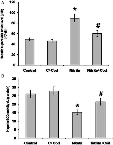 Figure 2. Effect of sodium nitrite (nitrite, 80 mg/kg/day) alone and its combination with cod liver oil (Cod, 5 ml/kg/day) for 12 weeks on hepatic superoxide anion concentration (A) and superoxide dismutase (SOD) activity (B). *Significant difference as compared with the rest of the groups at P < 0.05. #Significant difference as compared with the control group at P < 0.05.