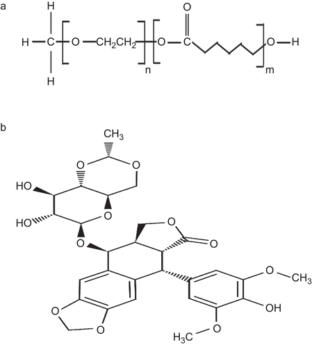 Figure 1.  MePEG/ϵ-CL diblock copolymer (a), structural formula of Etoposide (b).