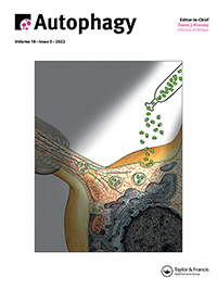 Cover image for Autophagy, Volume 18, Issue 5, 2022