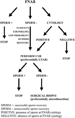 Figure 2. Testicular biopsy in NOA: a proposal flow chart for men undergoing sperm retrieval for the first time.