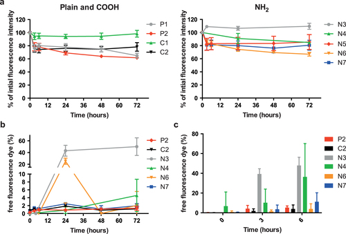 Figure 4. (a) Stability of the fluorescent signal of PS beads in PM at 37 °C over 72 h. The figure displays the percentage of initial fluorescence intensity at several time points compared to the initial fluorescence intensity (mean ± SD; n = 3). b) Leakage of the fluorescent dye from the large PS beads (>150 nm) during 72 h at 37 °C in PM. Data are expressed as percentage of free fluorescence compared to the total fluorescence intensity (mean ± SD; n = 3). (c) Elution of fluorescent dye of the large PS beads after 3 and 6 h of ex vivo placental perfusion. Data are expressed as percentage of free fluorescence compared to the total fluorescence intensity (mean ± SD of at least 2 independent experiments).