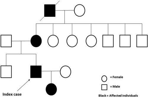 Figure 1. Pedigree of the patient’s family with low SpO2 readings.