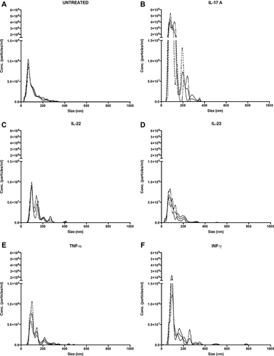 Figure 1 rIL-17A and rIFN-γ treatment of HaCaT cells increase the release of small EVs. EVs were quantified by NTA from supernatants collected from untreated Untreated HaCaT cells (A), or treated with rIL‐17A (B), rIL-22 (C), rIL-23 (D), rTNF-α (E) and rIFN-γ (F) for 72 hours as described in Materials and Methods. Each sample was acquired three times at 22.2–22.3°C. The solid line represents the acquisitions mean while the dashed lines represent ± standard deviations.