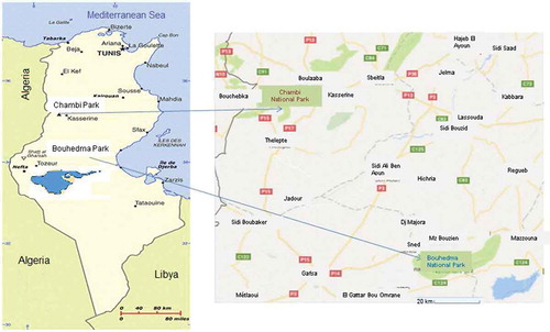 Figure 1. Tunisian map showing the location of the two national parks, Chambi and Bouhedma.