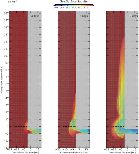 Figure 13. Sea surface salinity at three different time steps – Tide Configuration. The black dashed line represents zonal vertical sections shown hereafter. (Colour online)