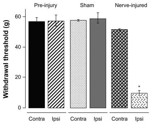 Figure 2 Sheep hindlimb withdrawal thresholds.