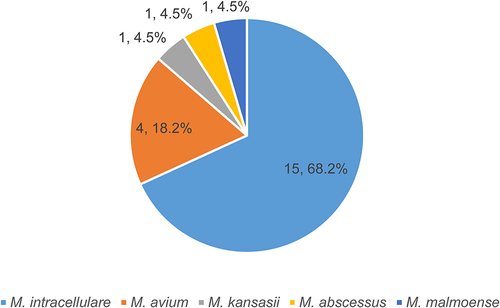 Figure 3 Distribution of NTM species identified in mixed infection cases.