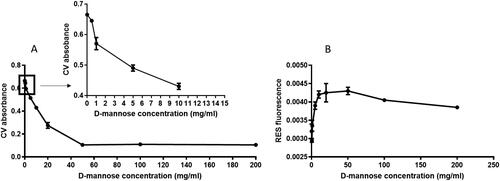 Figure 4. Inhibition of the biofilm after incubation of the EC14 E. coli strain with various concentrations of D-Mannose. (A) Biofilm formation. The box shows the inhibition of the biofilm at the concentrations of D-mannose reachable in the urine, (B) viable bacteria.