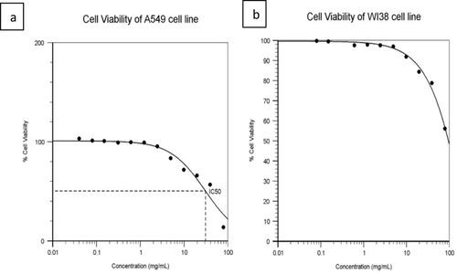 Figure 7 (A) Viability of A549 cells treated with AuNP.p53 complex. (B) Viability of WI38 treated with AuNP.p53 complex.