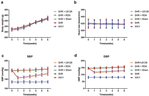 Figure 1. The comparison of the weight (a), heart rate (b), SBP (c) and DBP (d) of rats at different time points after surgery among each group