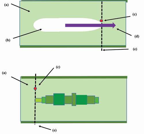 Figure 19. (Upper) Schematic space pattern of the wave or cluster of nitrate ions moving through petiole of an avocado tree leaf similar to that shown in Fig. 18., Soledad, CA, 16-17 February, 2020. (a) Petiole, side view (light green), (b) Wave or cluster of nitrate ions (white), (c) Sensor in the petiole (red). This sensor yielded the pattern of nitrate population shown in Figs. 17 and 18, (d) Electric force field pulling nitrate cluster through the hydrated pathway (purple) (e) Cross section of the petiole (black dashed line). The movement of the cluster is broken into time segments described in Eqn. 3. The amount of nitrate passing by the cross section during each time segment is the product of the three variables in Eqn. 3. The summation in Eqn. 3 is the addition of this product for each time segment(Lower) Schematic illustration of nitrate segments that have passed by the cross section in the petiole shown in Figure 19a. (a) Petiole, (c) Sensor in the petiole, (e) Cross section of the petiole. These are a sequence of nine nitrate population time segments. Each segment has its individual value of incremental concentration during that segment, length during that segment and area during that segment. Incremental concentration is shown in the color of the segment, the horizontal length of the segment is the distance traveled during the time segment and the vertical width is the area of the cluster during that time segment. Each of these three variables can change during each time segment.