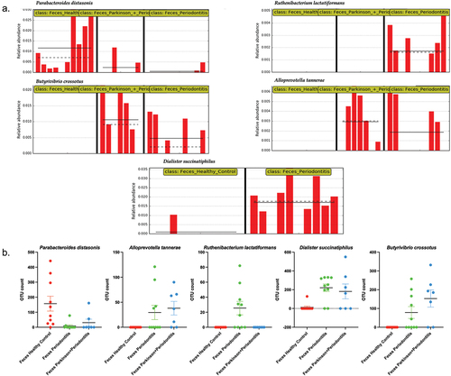 Figure 7. Abundance levels of five different gut microbiome species in healthy control, Parkinson’s and non-Parkinson’s groups. (a). Relative abundances of parabacteriodes distasonis, Ruthenibacterium lactatiformans, butyrivibrio crossotus, alloprevotella tannerae, and dialister succinatiphilus that were detected in stool samples. LefSe differential abundance analysis was performed. (b). scatter plots of five species from the gut microbiome.