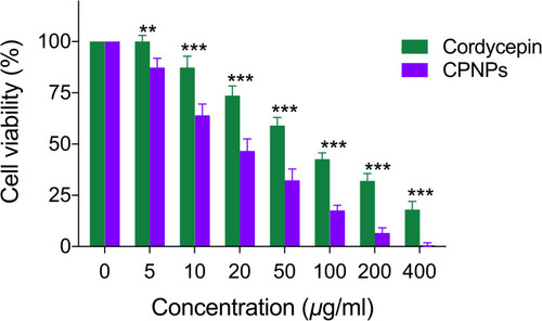 Figure 5 Comparison of cytotoxic potential of free cordycepin and CPNP in MCF-7 cells (mean ± SD, n = 3). Statistical analysis of data was performed using two-way ANOVA, followed by Bonferroni post hoc test. Cordycepin vs CPNPs (**p<0.01, ***p<0.001).