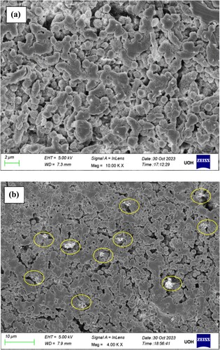 Figure 4. FESEM micrographs (a) pristine PVDF and (b) O- irradiated PVDF thin films.