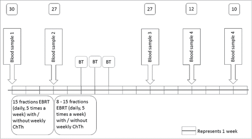 Figure 1. Treatment and blood sampling schedule. Blood samples 1–5: blood samples for immunomonitoring. Numbers above the blood samples indicate the amount of patients who provided blood for immunomonitoring. Abbreviations: EBRT = external beam radiation therapy; ChTh = chemotherapy; BT = brachytherapy.