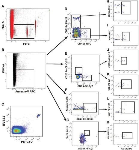 Figure 2 Quantitative detection of PS+MPs and TF+PS+MPs by Flow cytometry. Quantitative detection of PS+MPs and TF+PS+MPs by Flow cytometry. (A) Events ranged from 0.1μm to 1μm in size using Nano Fluorescent Size Standards; (B) Events ranged from 0.1 μm to 1.0 μm and binding annexin V were considered as PS+MPs; (C) Flow-Count Fluorospheres were gated on BV421/PE-Cy7 dot plot; (D) Gate of PS+MPs derived from platelets and erythrocytes (PS+PMPs and PS+RMPs, respectively); (E) Gate of PS+MPs derived from T cells and B cells (PS+TMPs and PS+BMPs, respectively); (F) Gate of PS+MPs derived from monocytes (PS+MMP); (G) Gate of PS+MPs derived from endothelium cells (PS+EMPs); (H) Gate of TF+PS+RMPs; (I) Gate of TF+PS+PMPs; (J) Gate of TF+PS+BMPs; (K) Gate of TF+PS+TMPs; (L) Gate of TF+PS+MMPs; (M) Gate of TF+PS+EMPs.