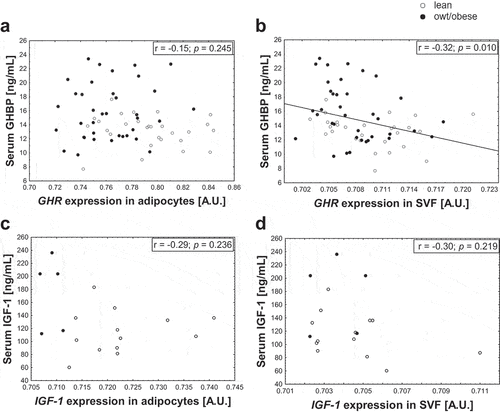 Figure 2. Associations of gene expression of GHR and IGF-1 in adipocytes and SVF cells with serum levels. The relation of serum growth hormone binding protein (GHBP) (shedded from the growth hormone receptor (GHR)) with gene expression of GHR in (a) adipocytes and (b) stromal vascular fraction (SVF) cells and the relation of serum insulin-like growth factor-1 (IGF-1) with gene expression of IGF-1 in (c) adipocytes and (d) SVF cells are shown. Regression coefficient r and p-value are given and significant correlations are marked with a regression line. For IGF-1 exclusively children until the age of 10 years were included to the analyses as until this age serum levels followed an approximately linear pattern (S2 Fig). For GHBP data from 2–18 years are included. Gene expression data were log10-transformed.