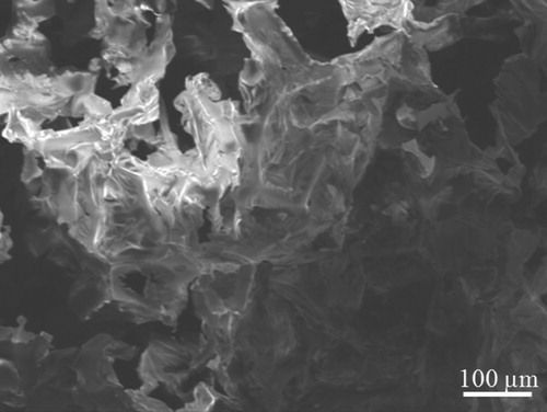 Figure 4. SEM of absorbent based on PU and rice straw.