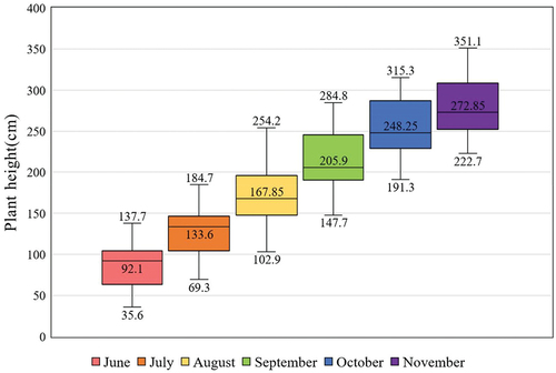 Figure 3. Descriptive statistics of the ground truth of sugarcane height.