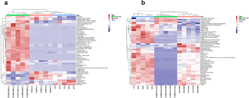 Figure 3 Among the serum (a) and liver (b) samples, the first 50 metabolites with the most significant differences among the three groups. Red represents high expression and blue represents low expression.