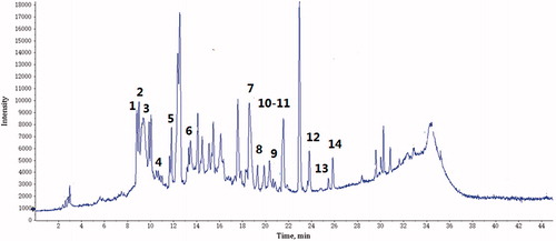 Figure 1. Total ion chromatograms of PFE in negative ESI mode.