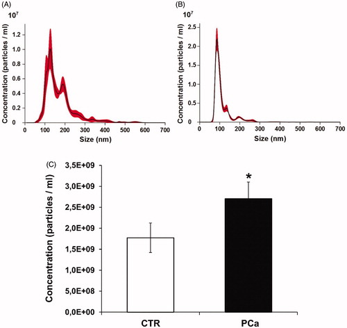 Figure 1. Nanoparticle tracking analysis (NTA) quantification of exosomes released from plasma of PCa patients and CTR. (A) NTA distribution of CTR exosomes. (B) NTA distribution of PCa exosomes. (C) Concentration (particles/ml) of exosomes. Mean ± SE of plasma exosomes from 8 CTR and 8 PCa patients are shown. The p values was <.1 in PCa plasma respect to CTR plasma exosomes. *p < .1.