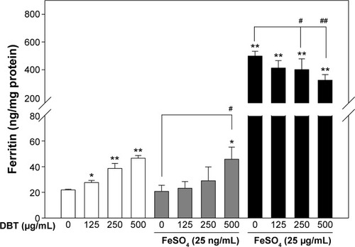 Figure 3 Ferritin protein formations by Caco-2 cells and after co-treatment with DBT at low and high concentrations of FeSO4.