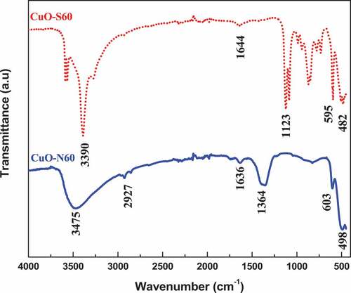 Figure 5. FTIR spectra for the synthesized CuO samples