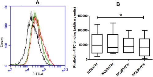 Figure 4 (A) decrease in F-actin content by nanoceria (dose NC600) in thrombin (0.5 U/mL)-stimulated washed platelets (2X108 per mL) treated with phalloidin-FITC (2.5 μM) and analyzed by flow cytometry. Black tracing, resting platelets; red tracing, thrombin-stimulated platelets without nanoceria; and green tracing, thrombin-stimulated platelets after nanoceria (NC600) treatment. (B) box plots representing F-actin content as indicated (n=5, repeated measure ANOVA). (*p<0.05).