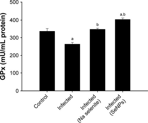 Figure 7 Changes in the level of jejunal GPx in control mice, infected mice, and infected mice treated with NaSe and SeNPs.Notes: Values are mean±standard error of the mean. ap<0.05, significant change with respect to control group; bp<0.05, significant change with respect to infected group. N=5.Abbreviations: GPx, glutathione peroxidase; NaSe, sodium selenite; SeNPs, selenium nanoparticles.