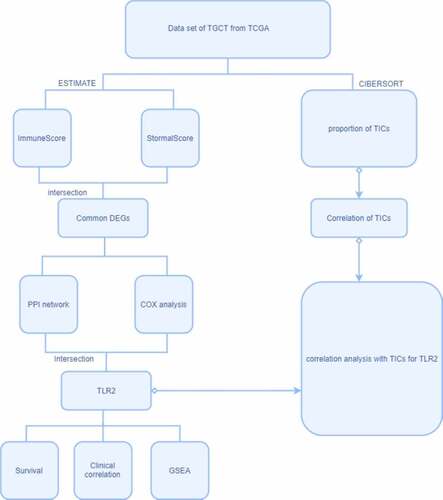 Figure 1. The process of analysis