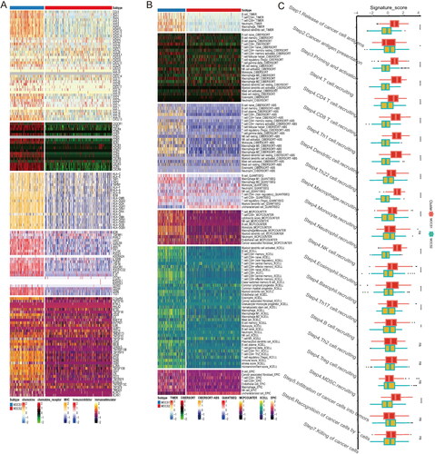 Figure 3. Differences in immune signatures, components, and tumor immunity steps between MOCS1 and MOCS2. (A) Heatmap illustrating the differences in immune marker expression and cellular components (B) between MOCS1 and MOCS2. (C) Boxplots indicate the difference in seven tumor immunity steps between subtypes.